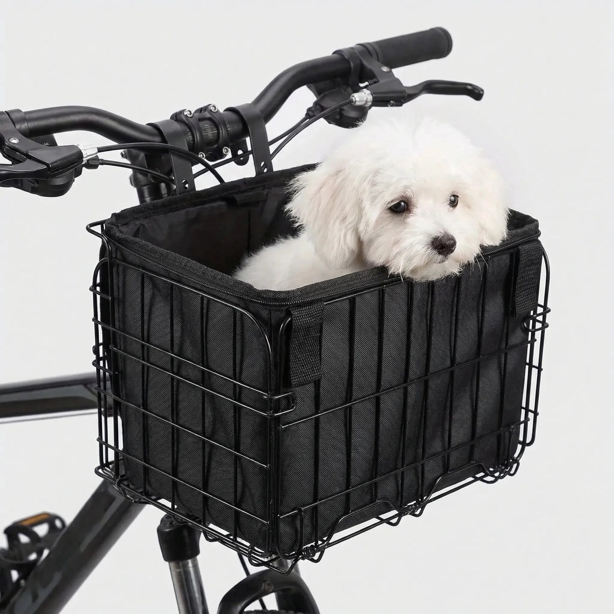 Cykelkurv foran med hund mod lys baggrund