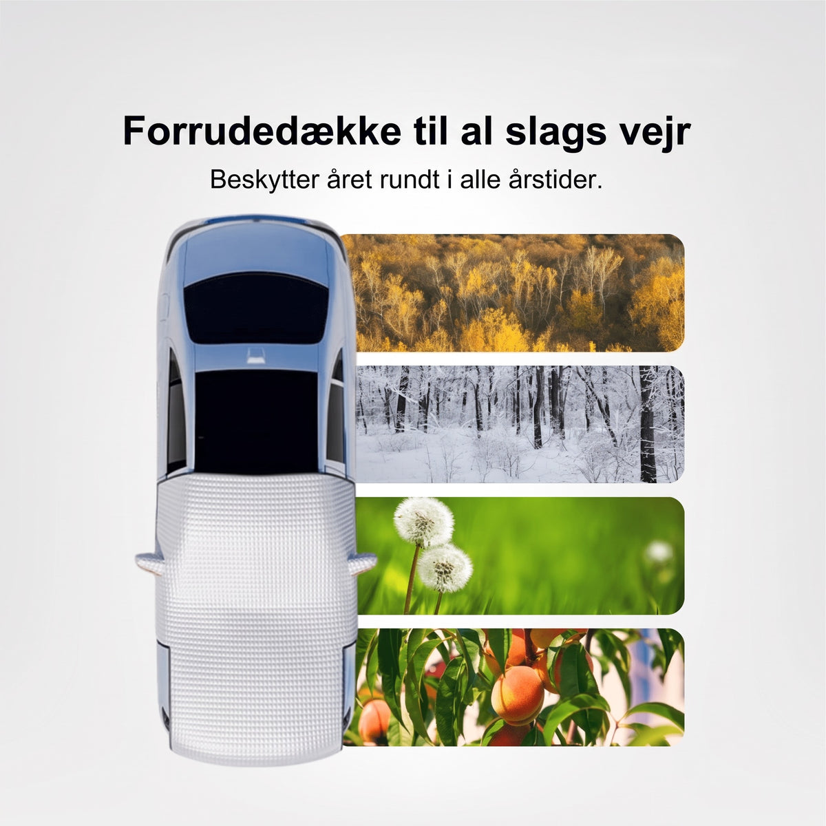 Forrudedækken til al slags vejr set ovenfra på bilen – beskytter i alle årstider
