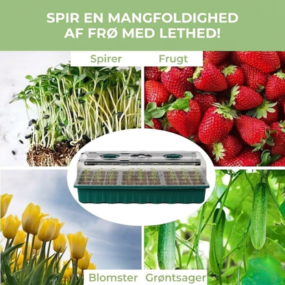 LED Frøstarter Sæt – 36 Celler Indendørs Drivhus – USB Timer